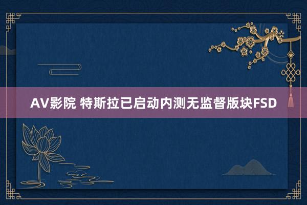 AV影院 特斯拉已启动内测无监督版块FSD