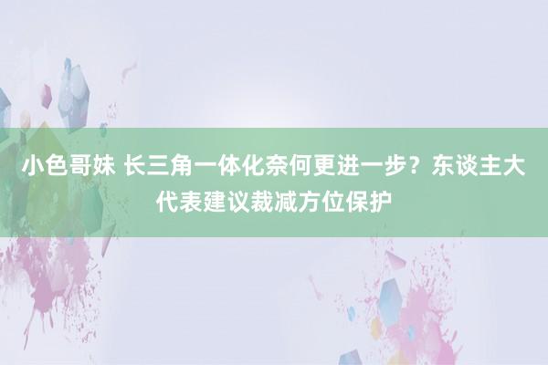 小色哥妹 长三角一体化奈何更进一步？东谈主大代表建议裁减方位保护