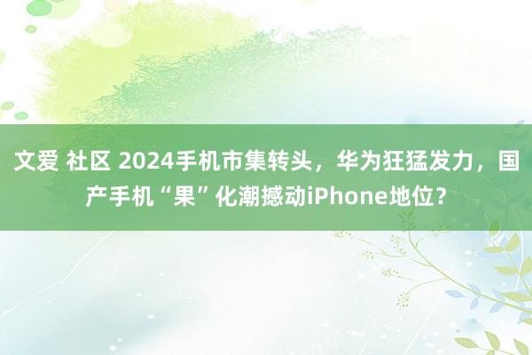 文爱 社区 2024手机市集转头，华为狂猛发力，国产手机“果”化潮撼动iPhone地位？