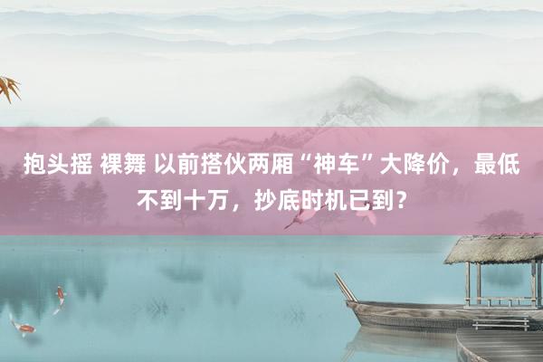 抱头摇 裸舞 以前搭伙两厢“神车”大降价，最低不到十万，抄底时机已到？