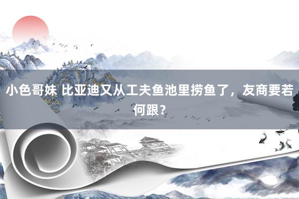 小色哥妹 比亚迪又从工夫鱼池里捞鱼了，友商要若何跟？