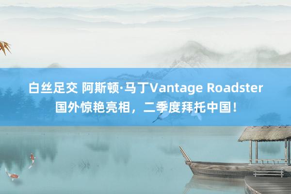 白丝足交 阿斯顿·马丁Vantage Roadster国外惊艳亮相，二季度拜托中国！