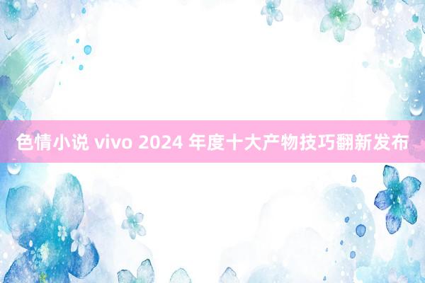 色情小说 vivo 2024 年度十大产物技巧翻新发布