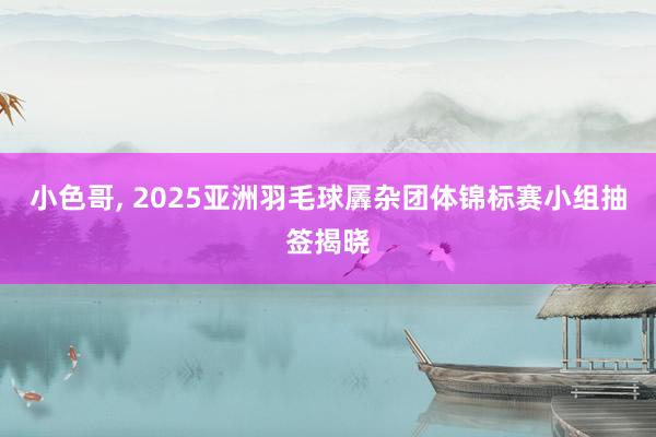 小色哥， 2025亚洲羽毛球羼杂团体锦标赛小组抽签揭晓